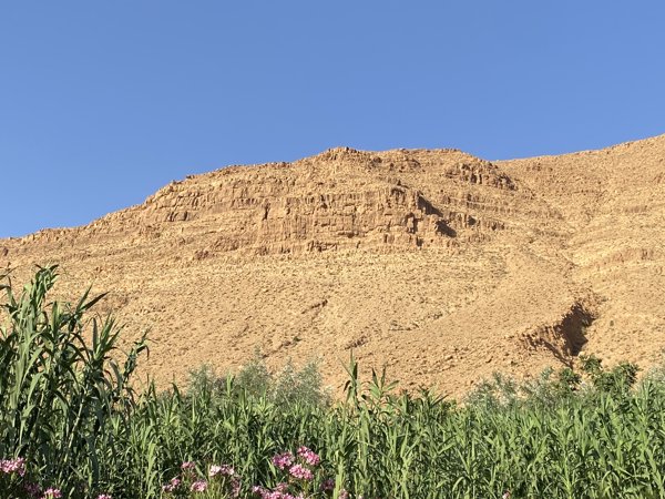 أكرض نوزرو #1