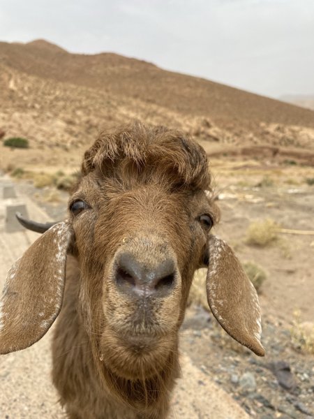 أكرض نوزرو #1