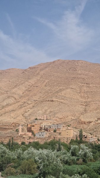 إيكلي #1