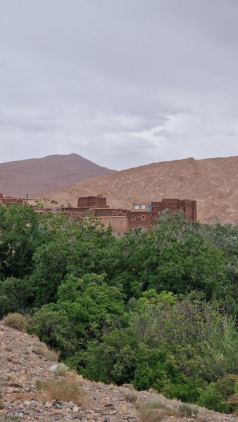 تاوريرت #1