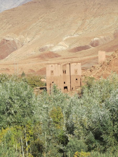 تيزي #1