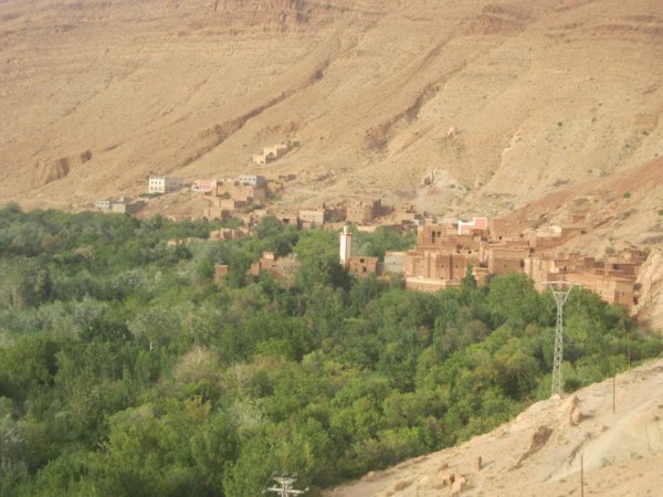 تيزي #1